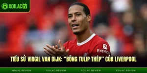 Tiểu Sử Virgil Van Dijk - “Bông Tulip Thép” Của Liverpool
